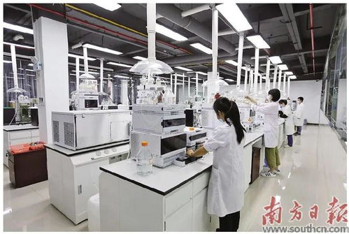 蓬江 以科技創新為引擎，新材料研發驅動產業升級