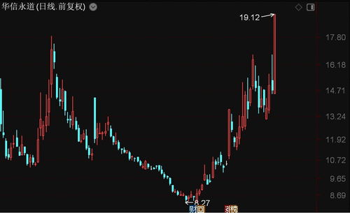 北證50指數強勢上揚，華信永道、聯迪信息領漲，信息系統集成服務板塊表現亮眼